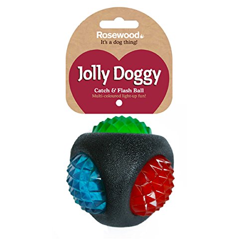 Rosewood Jolly Doggy Catch and Flash Ball for Dogs