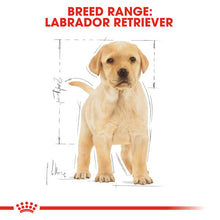 Load image into Gallery viewer, Royal Canin Dry Dog Food Specifically For Puppy Labrador Retriever - All Sizes
