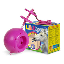 Load image into Gallery viewer, Likit Boredom Breaker For Horses And Ponies- Various Colours
