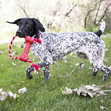 Load image into Gallery viewer, KONG Goodie Bone w/Rope
