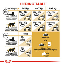 Load image into Gallery viewer, Royal Canin Maine Coon Adult Dry Cat Food For Cats
