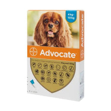Load image into Gallery viewer, Advocate Spot On For Dogs - 100 (Imidaclopid/Moxidectin) for 4-10kg Dogs
