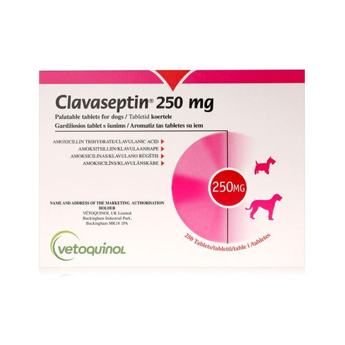 Vetoquinol Clavaseptin 250mg Palatable Tablets For Dogs x 250