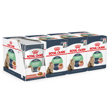 Load image into Gallery viewer, Royal Canin Wet Cat Food Digestive Care In Gravy Pouch 48 x 85 g
