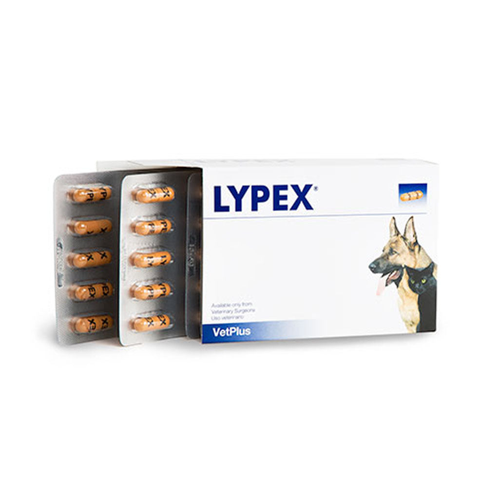 Lypex Pancreatic Enzyme Capsules for Dogs Pack of 60