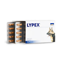 Load image into Gallery viewer, Lypex Pancreatic Enzyme Capsules for Dogs Pack of 60
