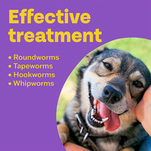 Load image into Gallery viewer, Bob Martin 3In1 Flavoured Wormer Tablets - All Sizes
