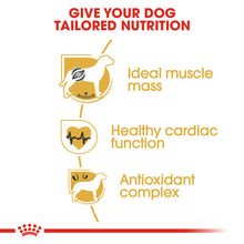 Load image into Gallery viewer, Royal Canin Dry Dog Food Specifically For Adult Boxer - All Sizes
