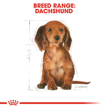 Load image into Gallery viewer, Royal Canin Dry Dog Food Specifically For Puppy Dachshund 1.5kg

