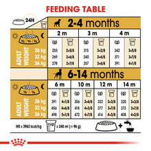 Load image into Gallery viewer, Royal Canin Dry Dog Food Specifically For Puppy Boxer - All Sizes
