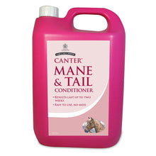 Load image into Gallery viewer, Carr And Day And Martin Canter Mane And Tail Conditioner- Various Sizes
