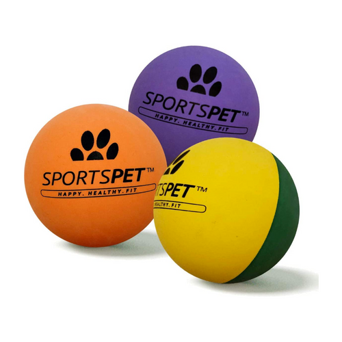 Sportspet High Bounce Dog Play Ball Fetch 3 Pack