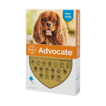 Load image into Gallery viewer, Advocate Spot On For Dogs - 100 (Imidaclopid/Moxidectin) for 4-10kg Dogs
