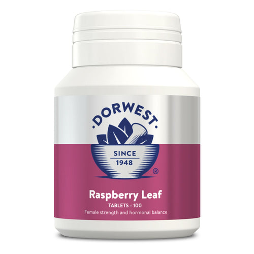 Dorwest Raspberry Leaf Tablets For Dogs