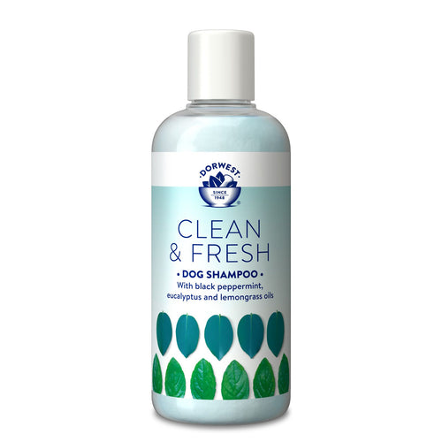 Dorwest Clean & Fresh Dog Shampoo