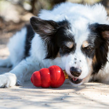 Load image into Gallery viewer, KONG Snacks Liver
