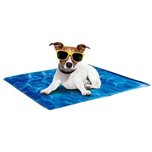 All For Paws Chill Out Always Cool Dog Mat 